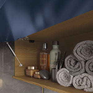 Vanitory Baño Kappesberg 80cm MDF Marrón y Azul